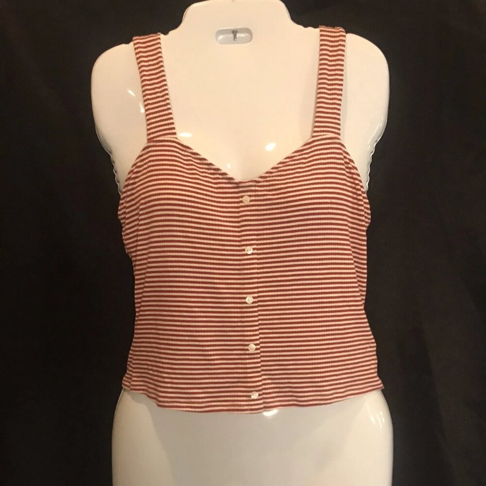 Express Crop Top Retro Mauve Pink Stripe Large